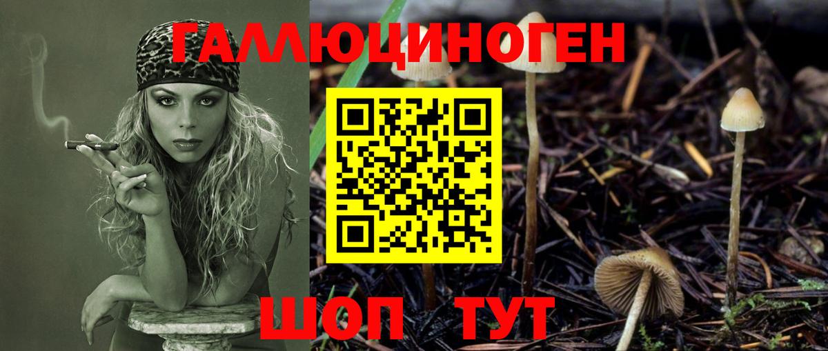 Галлюциногенные грибы мухоморы Шали